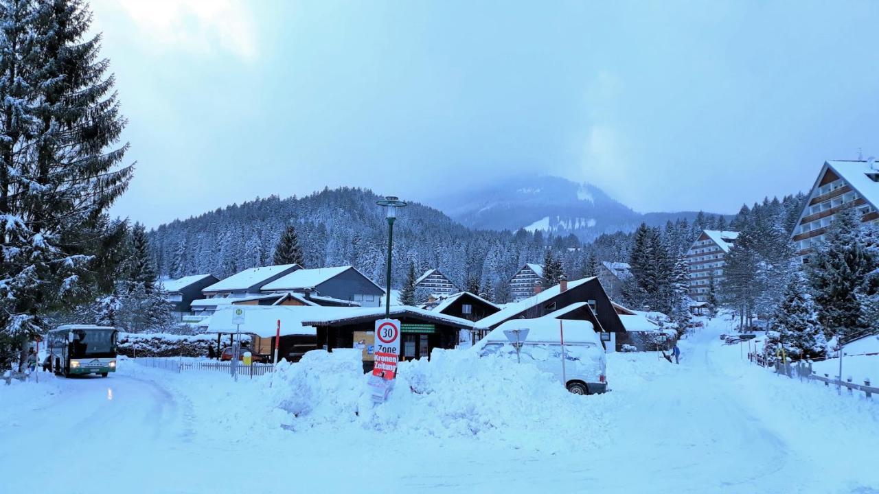 Amazing Family Apartment Bad Mitterndorf - Visit Hallstatt, Ski In Tauplitz Zewnętrze zdjęcie