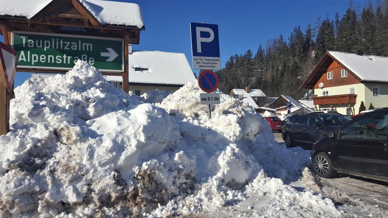 Amazing Family Apartment Bad Mitterndorf - Visit Hallstatt, Ski In Tauplitz Zewnętrze zdjęcie