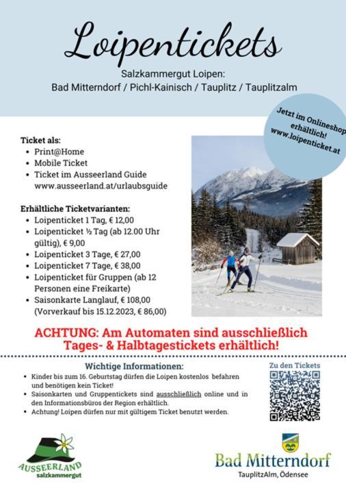 Amazing Family Apartment Bad Mitterndorf - Visit Hallstatt, Ski In Tauplitz Zewnętrze zdjęcie